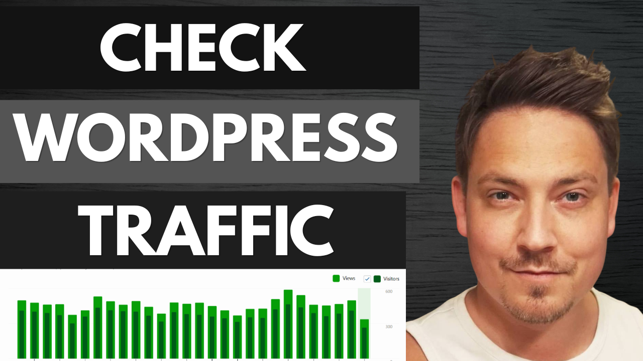 How to Check Website Traffic on WordPress and Use It to Grow